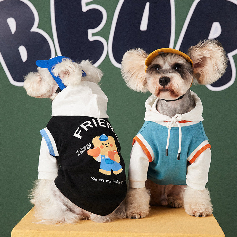 πΎπ WoofyLove Warm Hues: Autumn & Winter Stitching Contrast Color Fake Two-piece Pet Sweater ππΎ