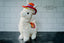 EYS Plush Llama Adventure Buddy Small Breed Dog / Cat Toy with Squeaker & Bell