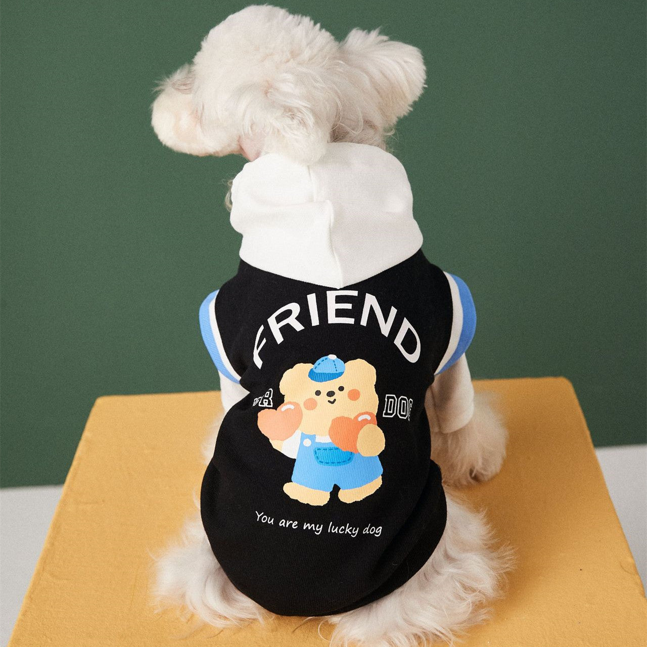 πΎπ WoofyLove Warm Hues: Autumn & Winter Stitching Contrast Color Fake Two-piece Pet Sweater ππΎ
