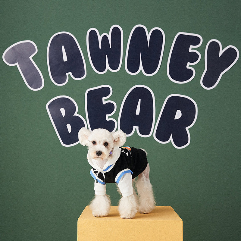 πΎπ WoofyLove Warm Hues: Autumn & Winter Stitching Contrast Color Fake Two-piece Pet Sweater ππΎ