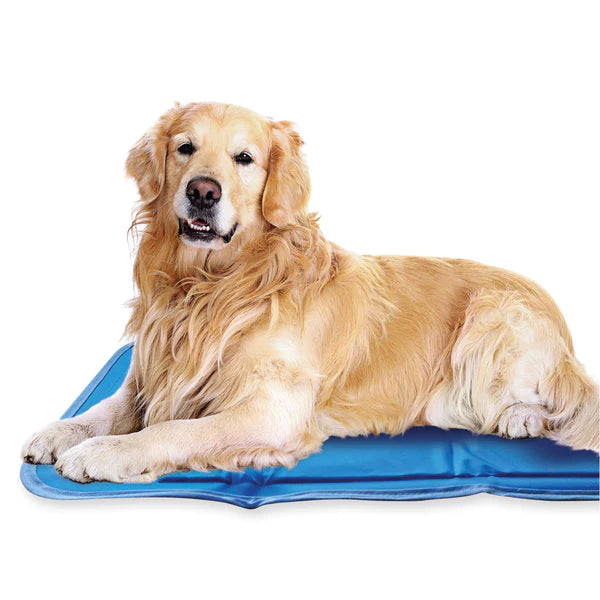 Green Pet Cooling Mat for Summer