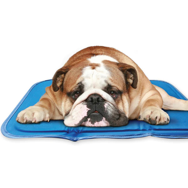 Green Pet Cooling Mat for Summer