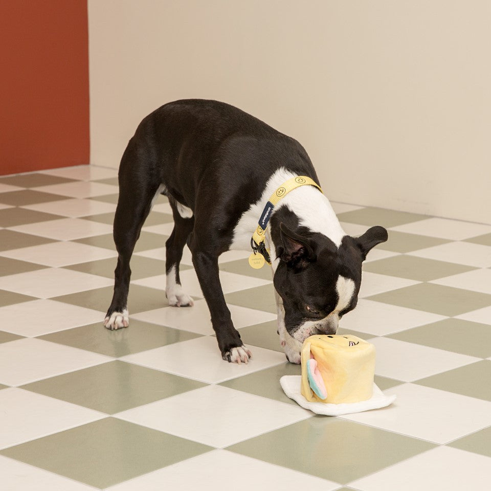 Barkwow Interactive Smiley Face Crinkle Cake Dog Toy with Hidden Treat Compartments and Pull-Out Plush Strips