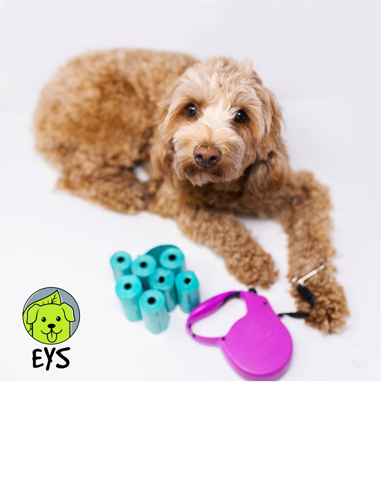 E Y S Collapse Flip-Top Out Door 21 Oz Bottle for Dogs with Free 120 EYS Eco-Friendly Dog Poop Bags
