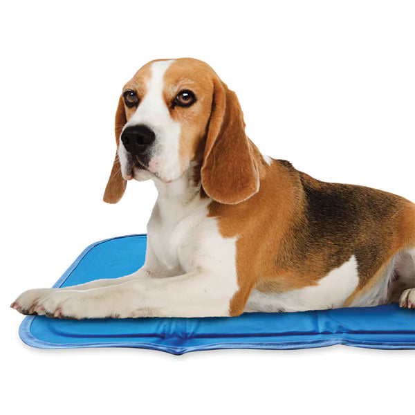 Green Pet Cooling Mat for Summer