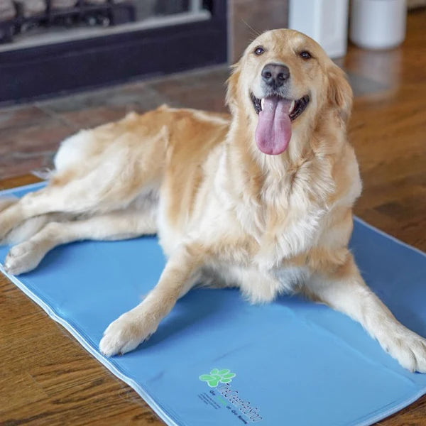 Green Pet Cooling Mat for Summer