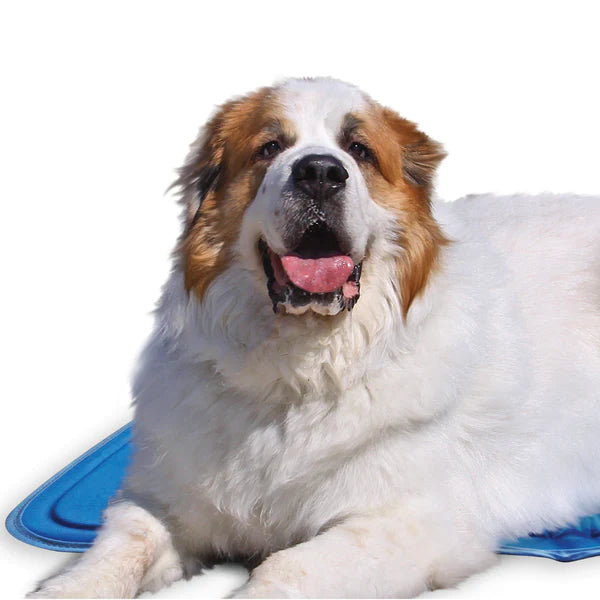 Green Pet Cooling Mat for Summer