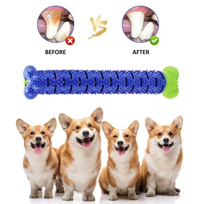 Barkwow Dog Chew Toys Aggressive Chewers Teeth Cleaning Oral Toothbrush Bone Brush