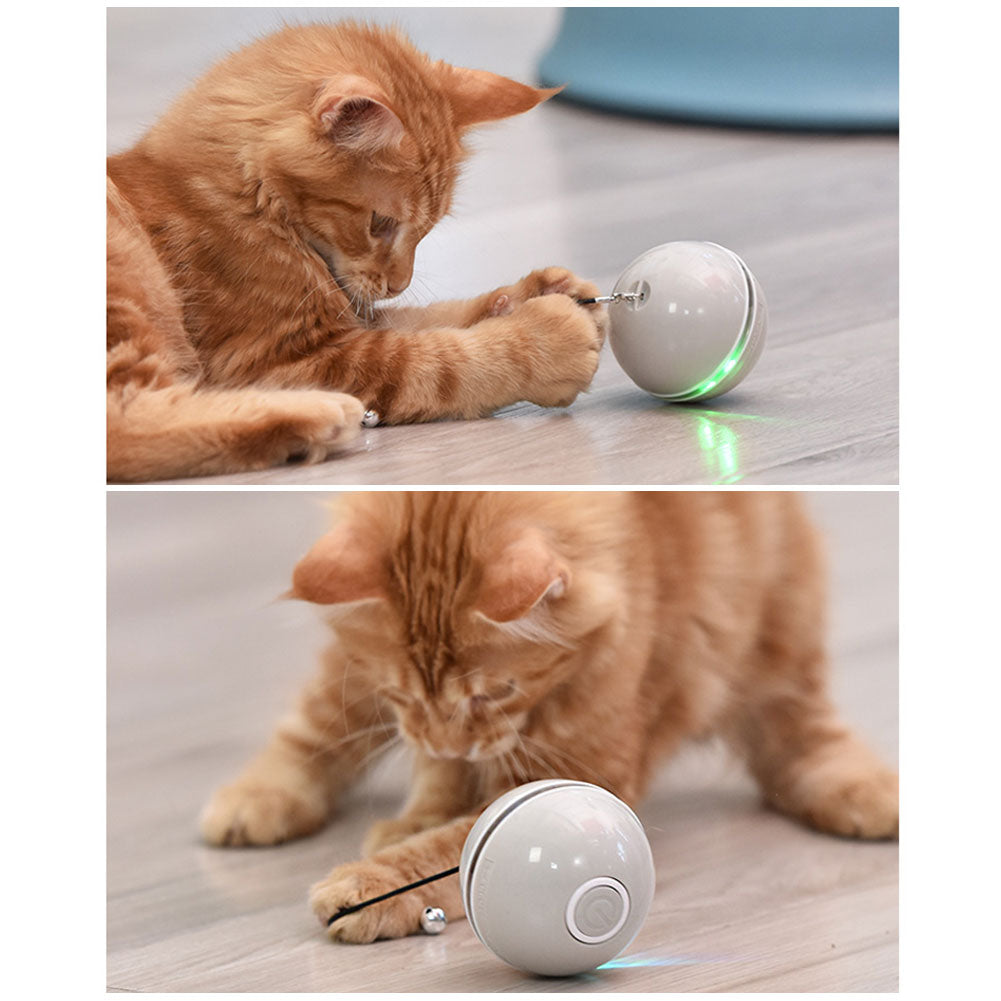 Barkwow LED Laser Funny Cat Teasing Ball