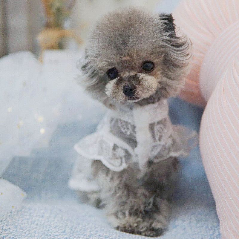 Barkwow Dogs And Cats Lace Breathable Sunscreen Skirt