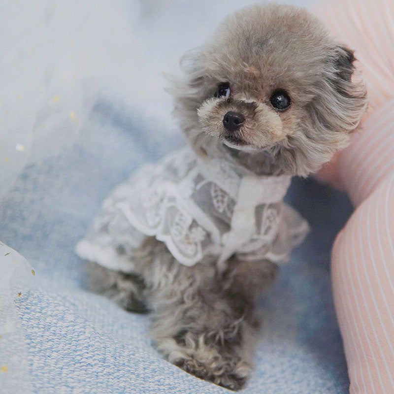 Barkwow Dogs And Cats Lace Breathable Sunscreen Skirt