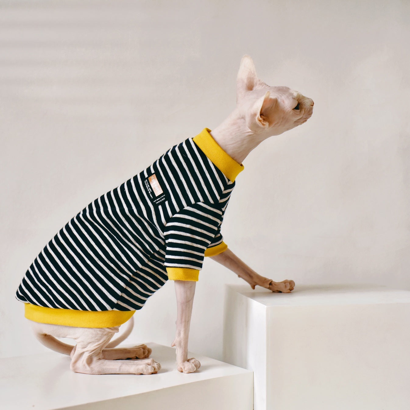 Barkwow Sphynx Hairless Cat Clothing