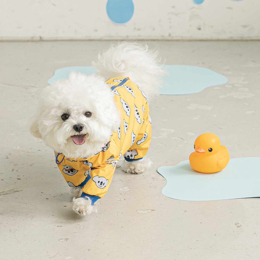 BARKWOW Fashion Pet Dog Waterproof Raincoat