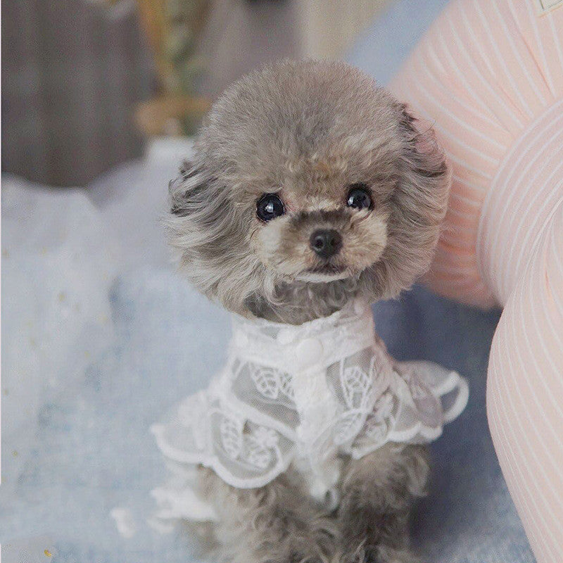 Barkwow Dogs And Cats Lace Breathable Sunscreen Skirt