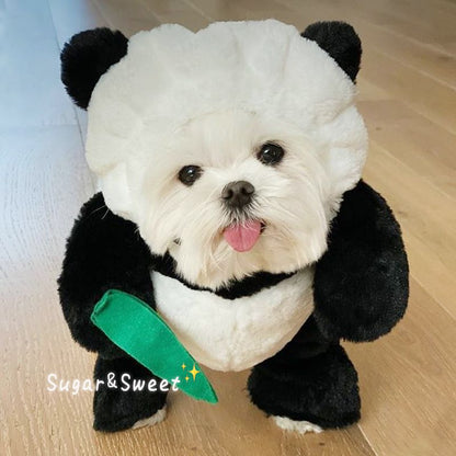 Woofylove Hilarious Hop & Panda Play: Bunny Costume with Panda Accents - Fun-Filled Cat Attire