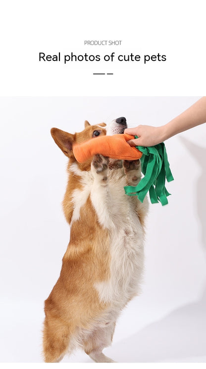 Pet Dog Toy Vegetables And Carrots