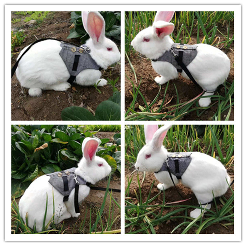 Woofylove Deluxe Rabbit Leash and Dress Set – Fashionable, Comfortable, and Safe for Your Furry Friend