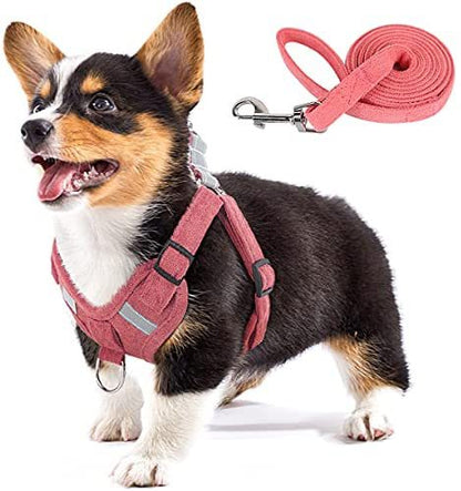 Woofylove Velvet Dog Strap - Reflective, Breathable Dog Rope for Ultimate Comfort and Safety