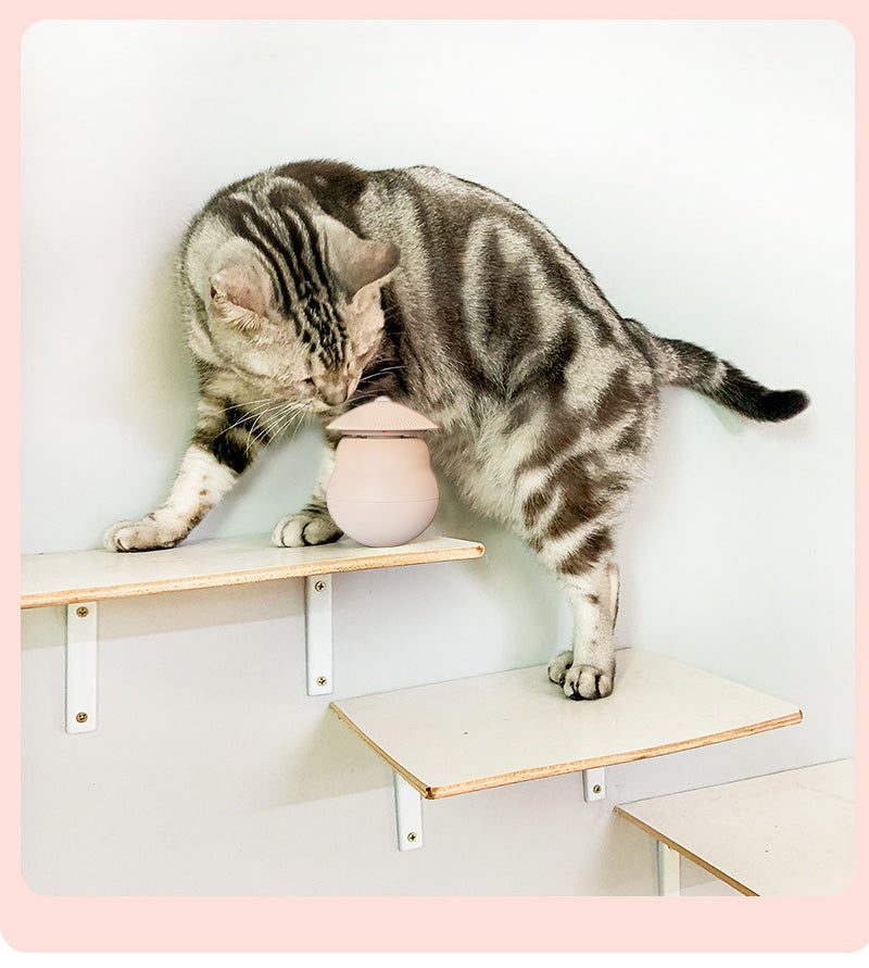 EYS Interactive Tumbler Laser Rotation Motion Cat Toy, Beige Main image