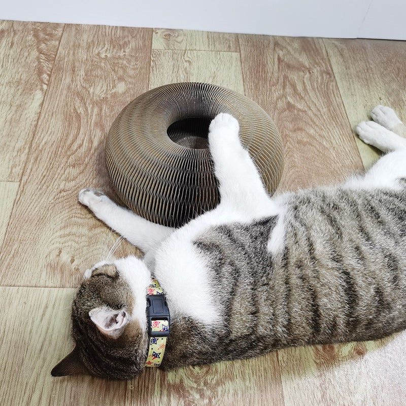 Barkwow Magic Organ 2-In-1 Cat Scratcher – Funny Shaped, Foldable & Durable | Eco-Friendly Scratch Board for Cats Main image