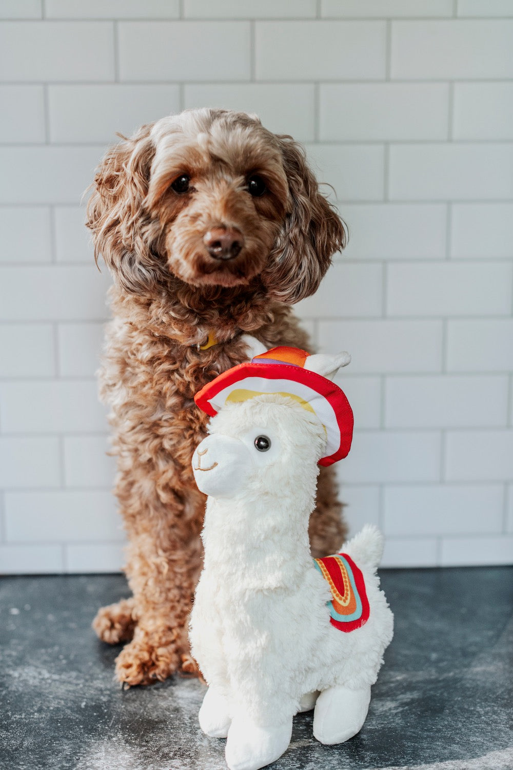EYS Plush Llama Adventure Buddy  Small Breed Dog  / Cat Toy with Squeaker & Bell Secondary image