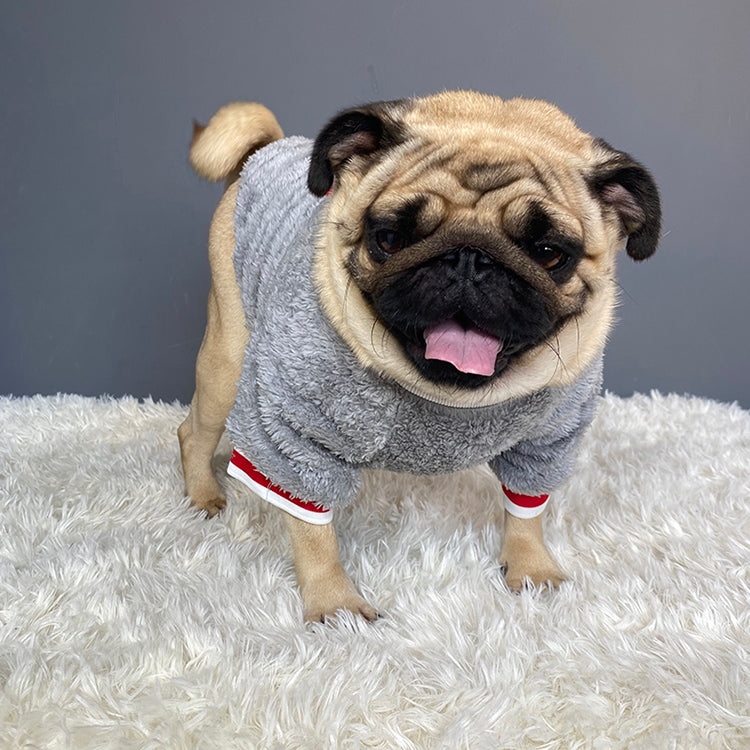 WoofyLove Sweater for Dog Unleash the Fun with Our Bulldog-Friendly Design!