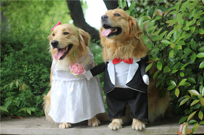 Dog Wedding Dress Dog Dress Special Events Dog Outfit Woofylove Dog Dress Wedding Dog Attire Dog Wedding Dress Dog Graduation Outfit Luxury Dog Clothes Dog Formal Wear Pet Wedding Outfit Premium Dog Apparel Elegant Dog Dress Hand-Stitched Dog Clothes Dog Fashion Custom Dog Dress Dog Party Dress Pet Special Occasion Wear Dog Outfits for Events High-Quality Dog Clothes Wedding Pet Accessories Dog Celebration Attire Dog Apparel for Special Occasions Comfortable Dog Dress Dog Satin Dress Lace Dog Dress 