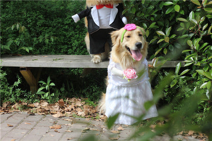 Woofylove Special Events Dog Dress: Make Every Occasion Unforgettable for Your Fur Baby