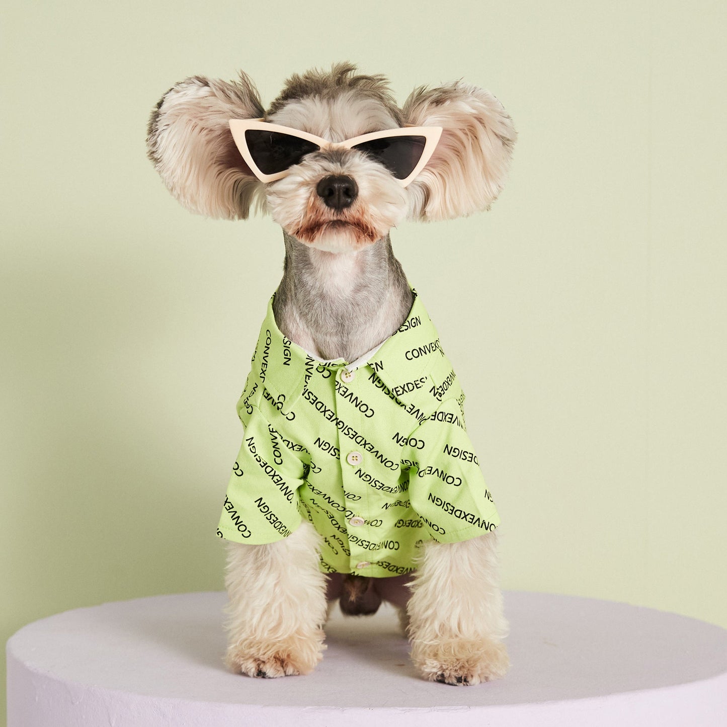 Woofylove Statement Dog Shirt: Speak Your Pup's Mind in Style – Comfortable, Machine Washable & Insta-Worthy