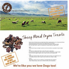 EYS Interactive Snuffle Ball Dog Puzzle Toy Hide &Seek Treats with Nature Lamb Organ Treats for free .