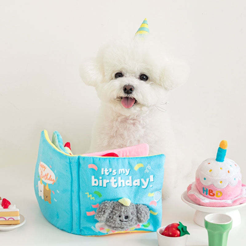 EYS Birthday Adventure Book: Crinkle, Squeak & Treat Hide-and-Seek Toy Main image