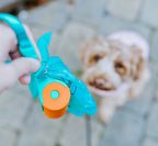 WOW-Joy Complete Outdoor Adventure Kits: Portable Jogging/Hiking Essentials for You and Your Dog