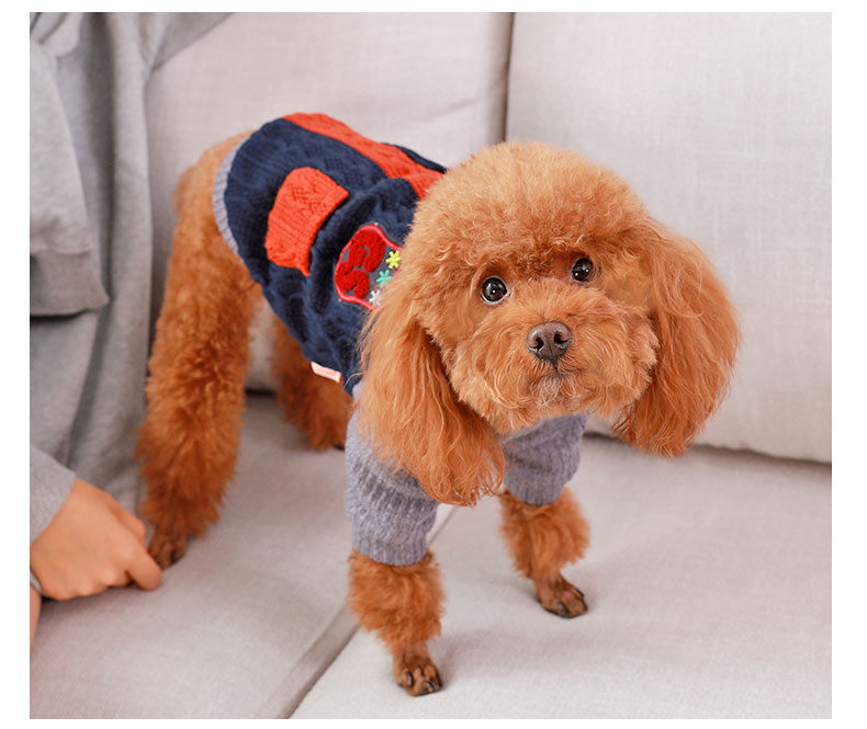 Woofylove Style Sweater for Dogs – A Blend of Comfort and Fashion for Your Four-Legged Trendsetter