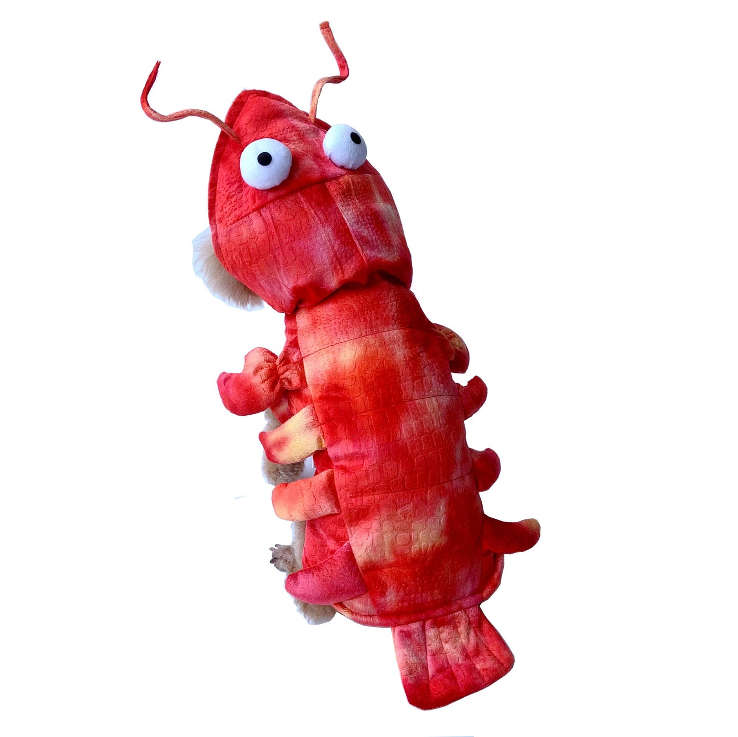 Woofylove Lobster Pet Costume: The Ultimate Halloween Makeover for Cats and Dogs