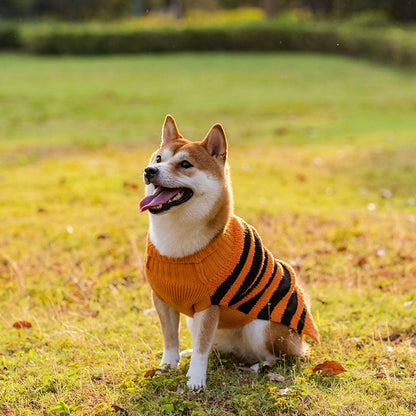 Woofylove Halloween Cozy Leisure Sweater for Dogs: A Spooky Yet Warm Costume for Your Furry Friend