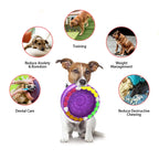 Barkwow Birthday Cake Bowl Toy: Durable, Safe & Fun Chew Toy for Heavy Chewers | Eco-Friendly Natural Rubber Dog Feeding Bow