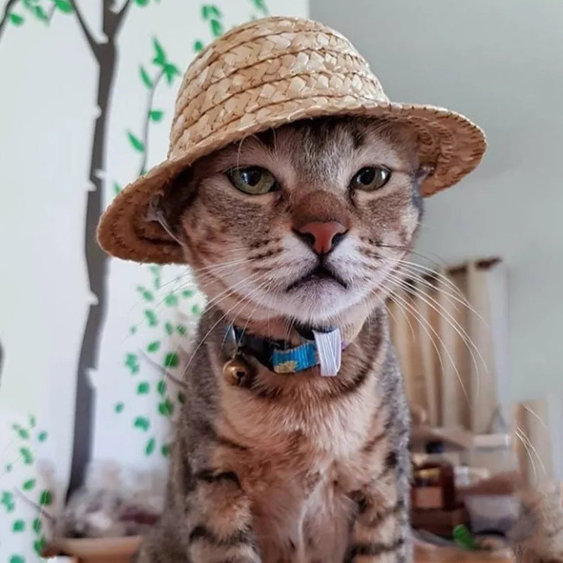 Woofylove Vintage Farmer Straw Hat – Cute Ornament for Cats & Dogs | Factory Spot Limited Edition