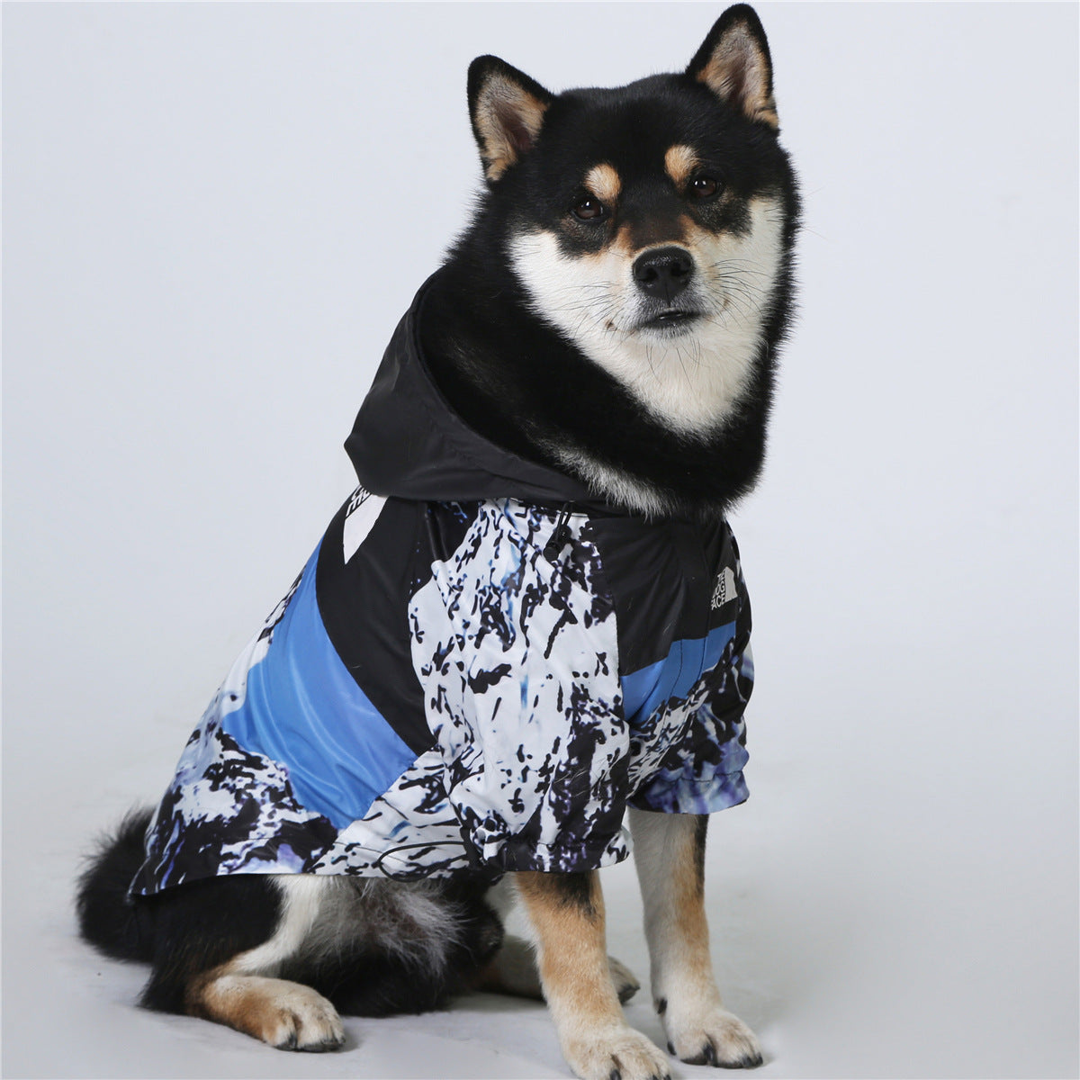 WoofyLove's All-Weather Canine Shield: The Ultimate Windproof & Rainproof Dog Shell Jacket