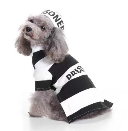 Woofylove Prison Suit  Costume - Iconic Pet Knitted Sweater for the Festive Season