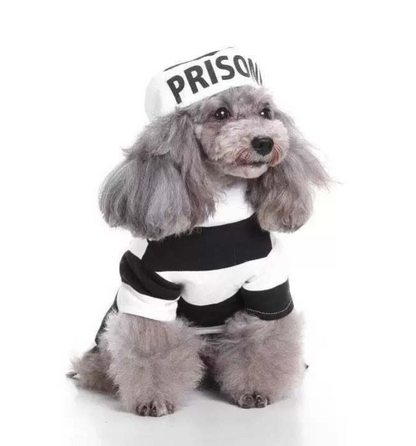 Woofylove Prison Suit  Costume - Iconic Pet Knitted Sweater for the Festive Season