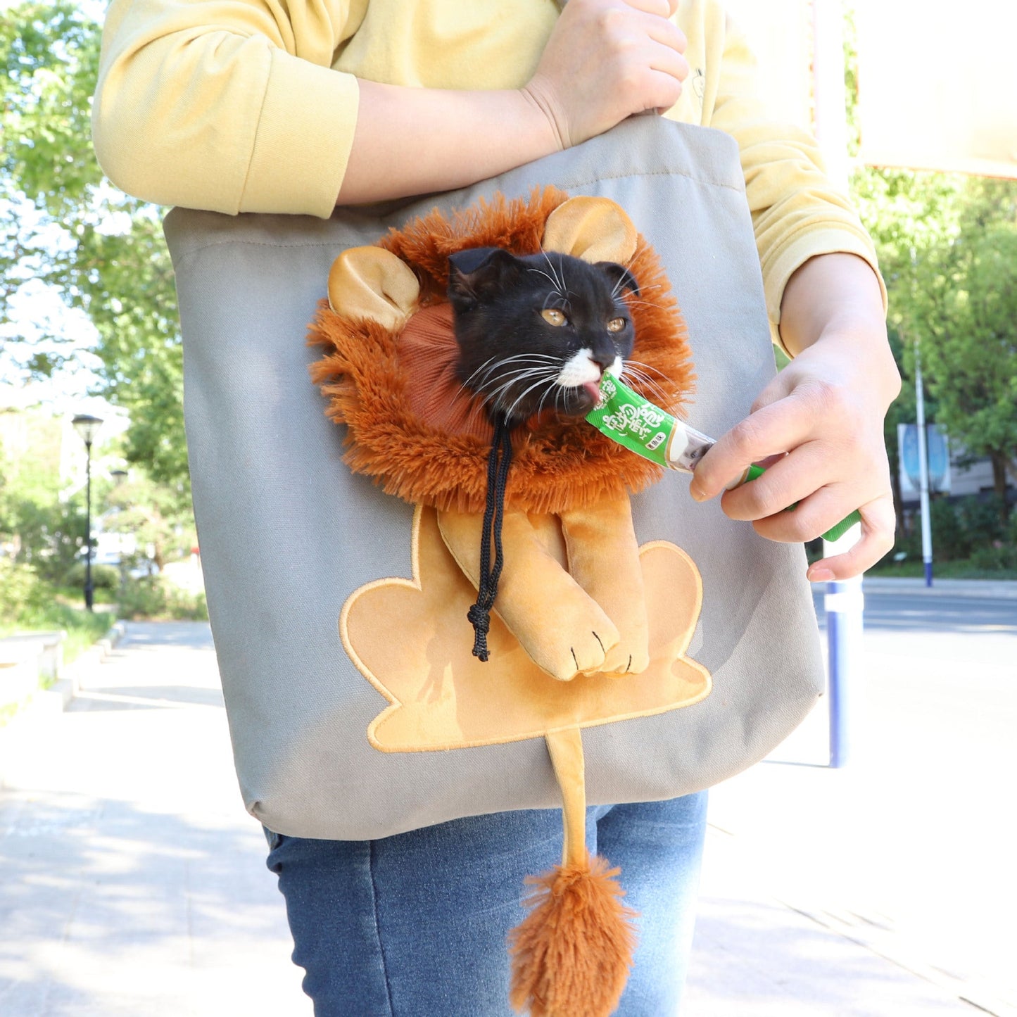 Woofylove Soft Pet Carriers Lion Design: Unleash the Wild Side of Pet Travel