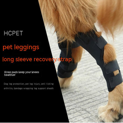 WoofyLove Healing Support: Dog Knee Pad – Anti-Licking, Arthrosis Recovery Auxiliary Bandage 🐾