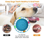 Barkwow Birthday Cake Bowl Toy: Durable, Safe & Fun Chew Toy for Heavy Chewers | Eco-Friendly Natural Rubber Dog Feeding Bow