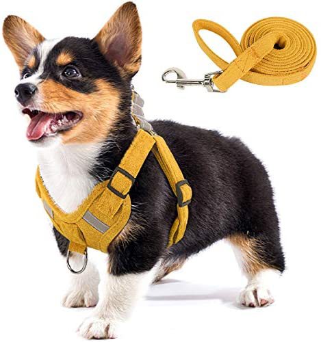 Woofylove Velvet Dog Strap - Reflective, Breathable Dog Rope for Ultimate Comfort and Safety