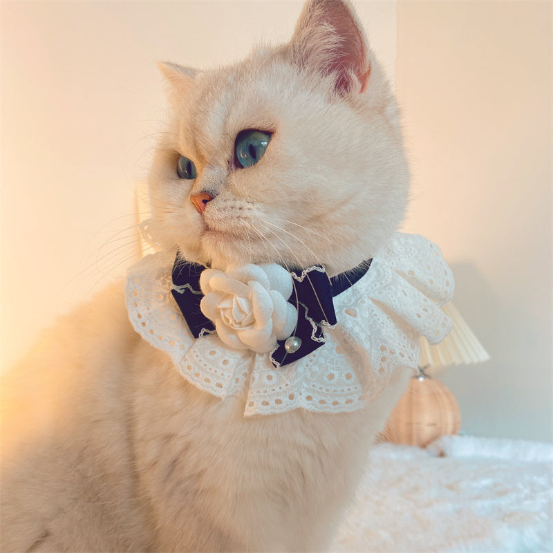 Woofylove Fashion Cat Lace Neck Collar: Adorn Your Pet in Elegance with Our Lace Collar and Bow