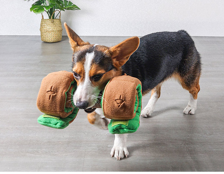 EYS Retractable Treat Dispensing Plush Dumbbell Interactive Dog