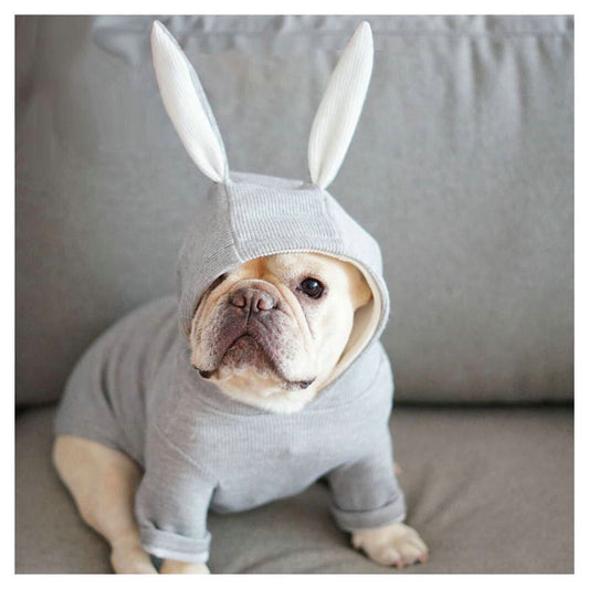 Woofylove Rabbit Ears Knitted Sweater: The Cozy and Cute Ensemble for Small Dogs