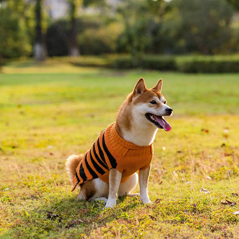 Woofylove Halloween Cozy Leisure Sweater for Dogs: A Spooky Yet Warm Costume for Your Furry Friend