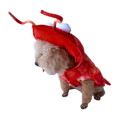 Woofylove Lobster Pet Costume: The Ultimate Halloween Makeover for Cats and Dogs