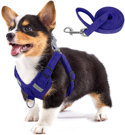 Woofylove Velvet Dog Strap - Reflective, Breathable Dog Rope for Ultimate Comfort and Safety